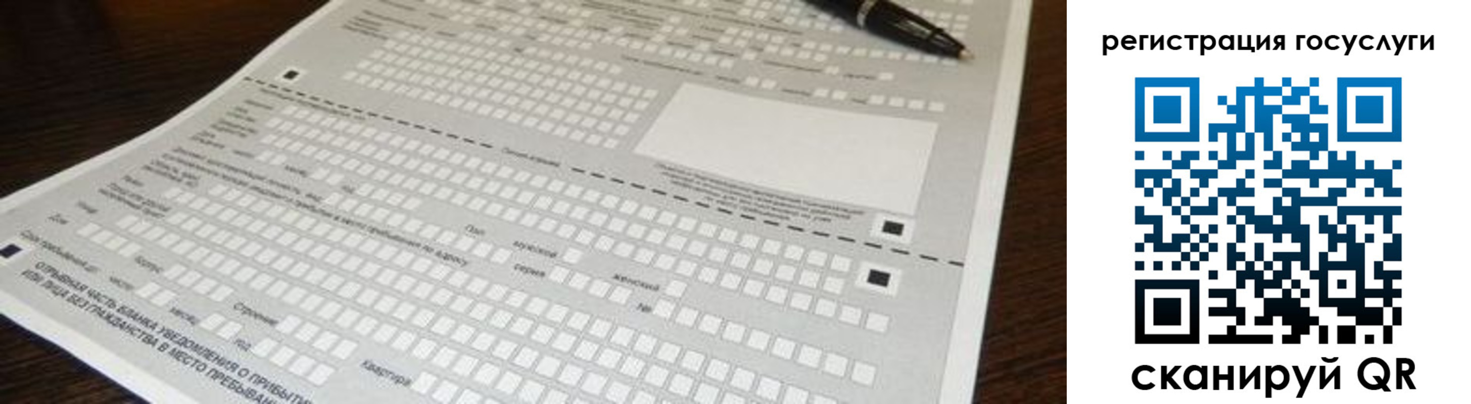 прописка законно в Светлом
